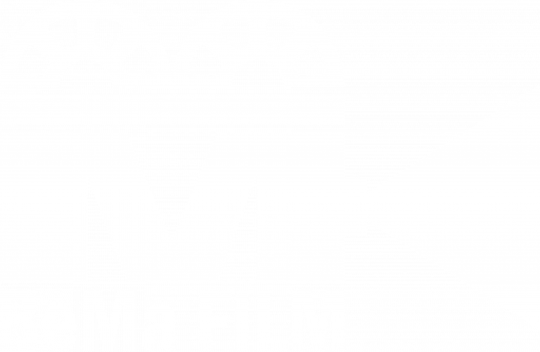 Logo BEMA weiss 4k